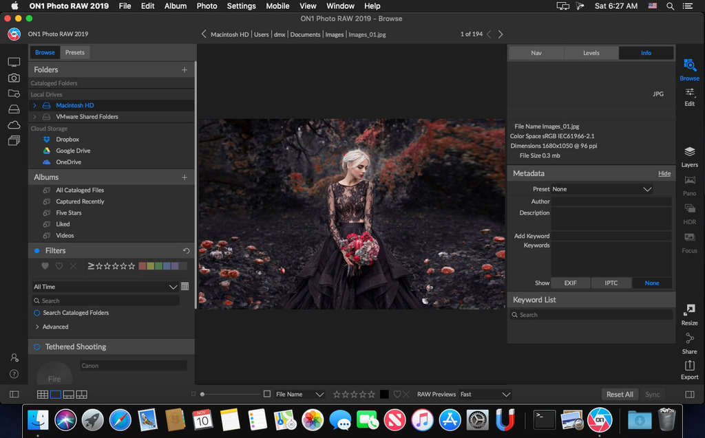 ON1 Photo RAW 2020 for mac v14.5