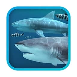 Sharks 3D 2.1.0